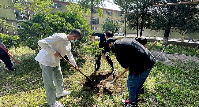 图片5微密猫
.jpg